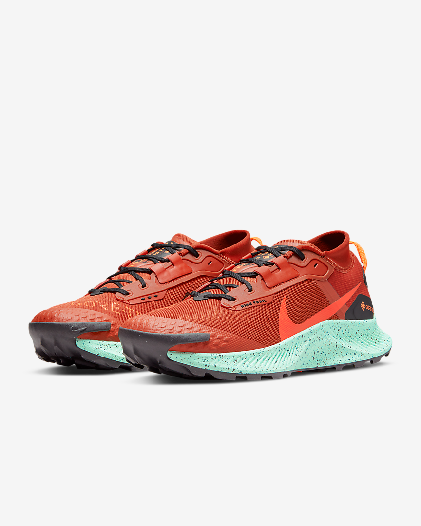 Pegasus Trail 3 GORE-TEX